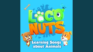 Download Lagu Baby Shark Download Lagu Baby Shark