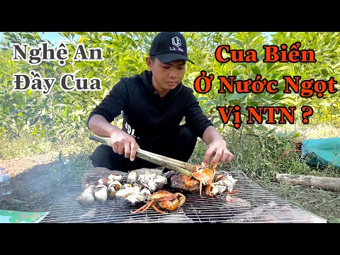 Đi Câu & Thử Món Đặc Sản Cua Biển Nước Ngọt Ở Nghệ An