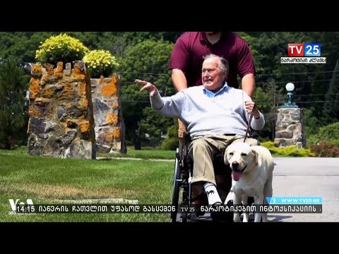 ერთგული სალი ყურადღების ცენტრშია