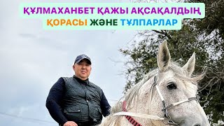 картинка: ҚҰЛМАХАНБЕТ ҚАЖЫ АҚСАҚАЛЖЫҢ ҚОРАСЫ ЖӘНЕ АТТАРЫ 20 🍋 алынған жаңа аты