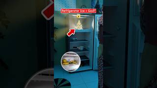 Agra Freezer Incident (3D) by Professor of How