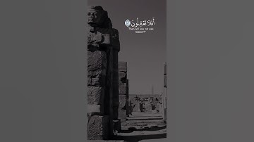 شيخ سعد الغامدي اجمل حالات واتس اب دينية سورة الأنبياء تلاوة خاشعة مبكية 🌿💙