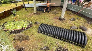 BUILDING NEW GIANT TORTOISE ENCLOSURES!