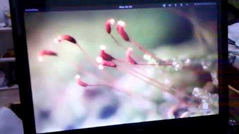 Ubuntu 11.10 on Gnome Shell