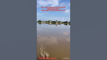 Cần bán 1 công đất lúa giá 500 triệu hết đất thuộc huyện Thạnh hóa tỉnh Long An lh 0819259737