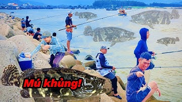 Kéo Cá Mú Khủng Ngoài Biển – Cảm Giác Cực Phê!