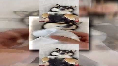 Shuric Scan LOL (My First Idea)