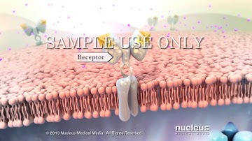 Gestational Diabetes | Nucleus Health