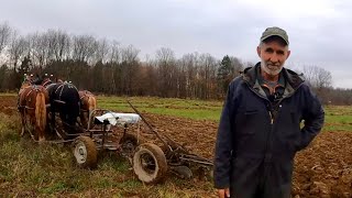 A Young Man & His Old Plow // Draft Horses Plowing a Field #556