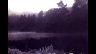 Video thumbnail of "In The Woods - Pigeon"