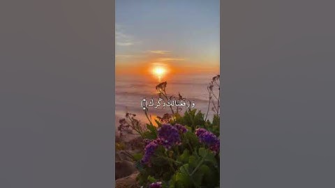 سورة الشرح - القارئ محمد اللحيدان