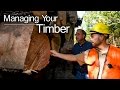 MANAGING YOUR TIMBER