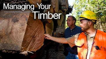 MANAGING YOUR TIMBER