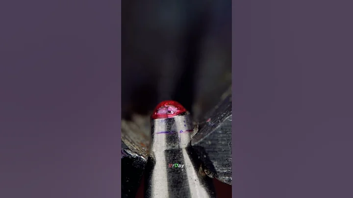 Pop out the pen's ball #closeup #urday