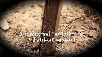 Site Assessment Prior to Planting in the Urban Environment