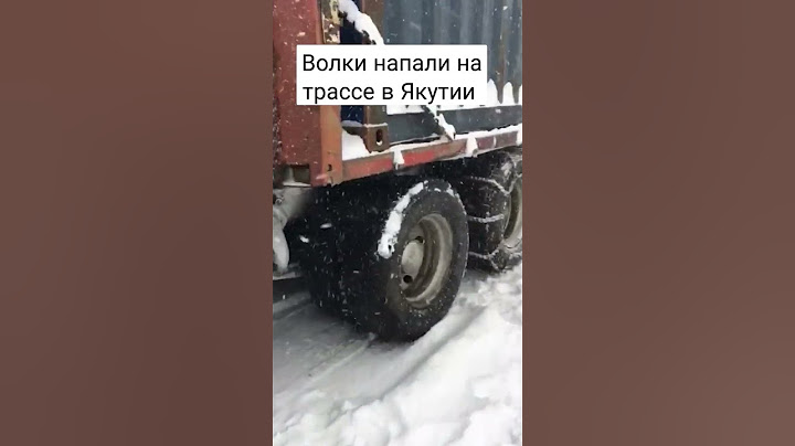 Волки в Якутии
