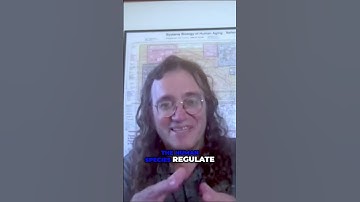 Navigating AGI Regulation: Balancing Hope and Practicality