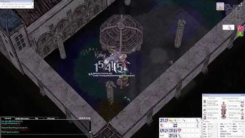 ROPH - Assassin Cross  with Inverse Scale