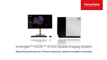 Invitrogen™ EVOS™ S1000 Spatial Imaging System from Thermo Scientific