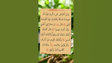 #سورة_طه #ايات_قرانيه_قصيره #shayari #shots #shotsyoutube #shots_video