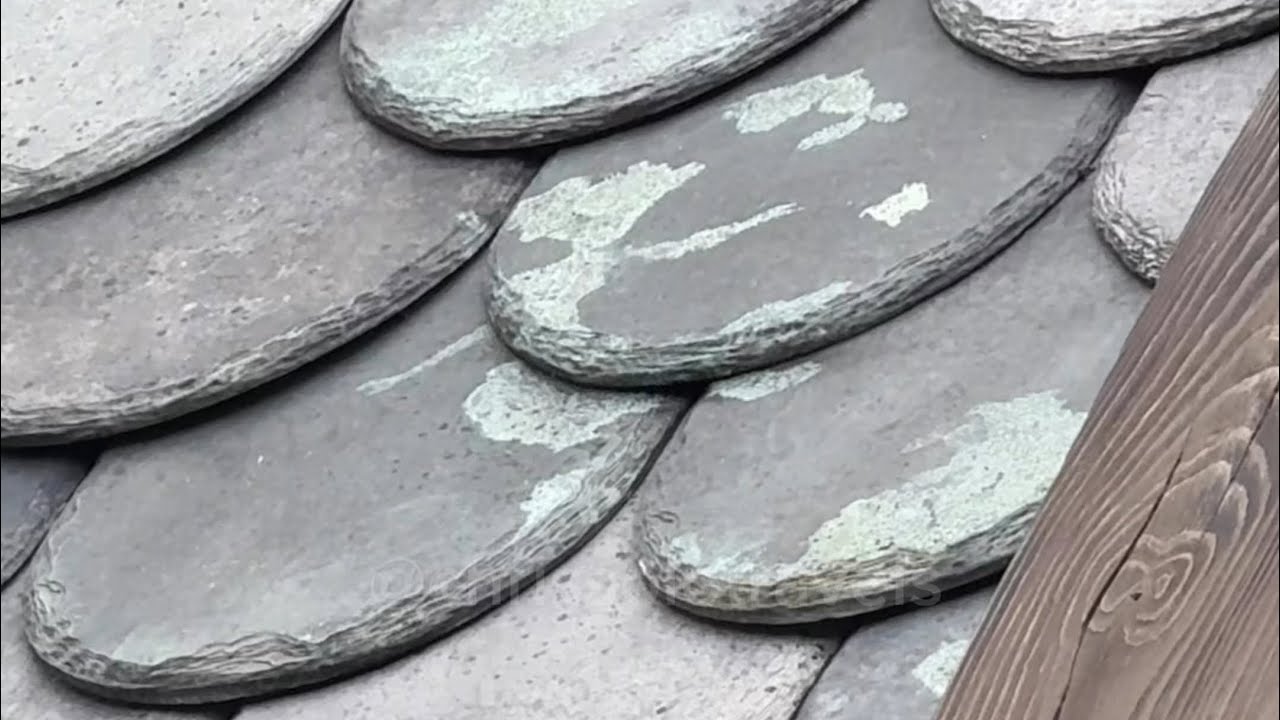 2024 Disney Sea Fantasy Springs Hidden Mickeys and