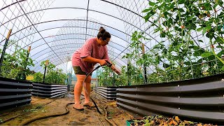 The Tomato Situation Has Gotten Worse... | Garden VLOG