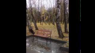 Октябрь в Рязани \ 2015