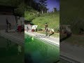 What Most Homeowners Don’t See in a Pool Remodel