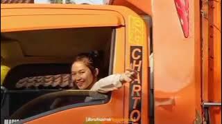 Story W.a Truk Rolis