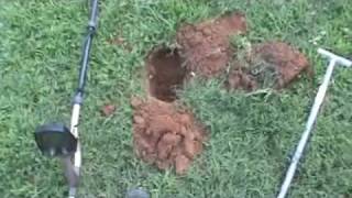 Metal Detecting On Fathers Day | Nugget Noggin