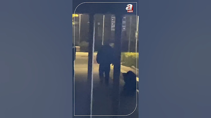Fatih'te öldürülen 2 kadından birinin ve öldüren Semih Çelik'in cenazesi Adli Tıp Kurumu'ndan alındı