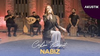 Ceylan Koynat - Nabız Cover 