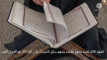 القارئ أحمد علاء العمدة