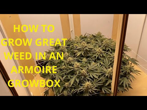 HOW I GOT ALMOST 0.5LB OF BUD IN A 3'X2' STEALTH ARMOIRE GROW BOX. FROM WEEK 3 OF VEG TO HARVEST!