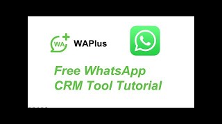 Cara Setting Bot Chat Autoreply Whatsapp GRATIS [Update 2024]