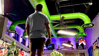 видео: ULTIMATE обновление магазина игр картинка: ULTIMATE обновление магазина игр