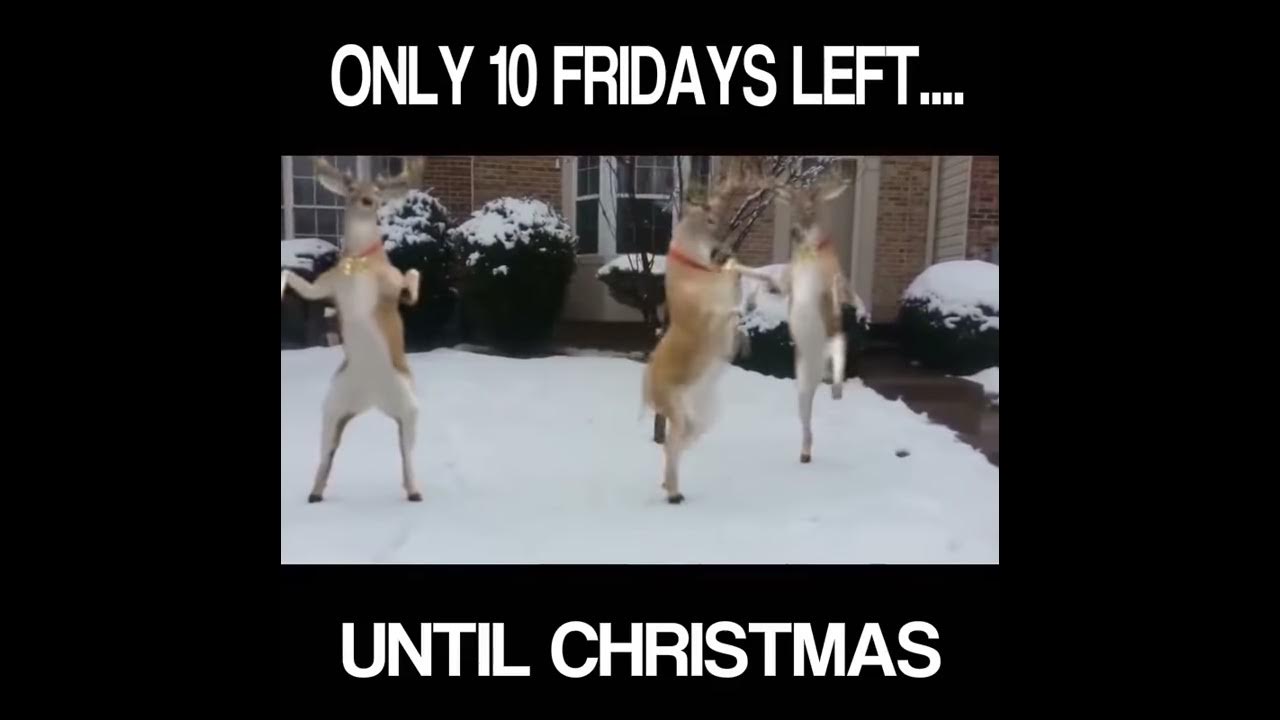 10 Fridays til Christmas! YouTube