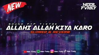 Allahi Allah Kiya Karo Viral Tiktok ( Slowed \u0026 Reverb )🎧