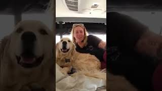 VAN LIFE vs RENT, OUTSMART the Housing Trap!
