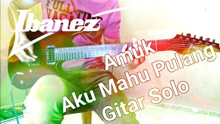 🔥🔥Aku Mahu Pulang-Amuk Cover Gitar Solo