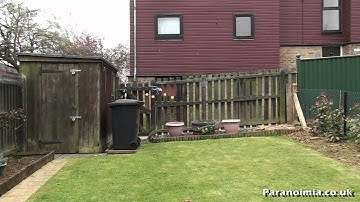 E-flite Blade CX3 MD 520N