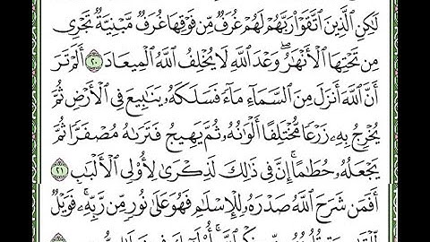 سورة الزمر مكررة الآيات من 19 إلى 22   Surah Az-Zumar repeated