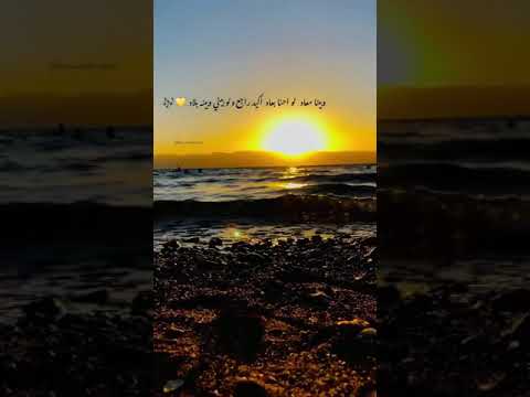 Amr Diab•Qusad Einy