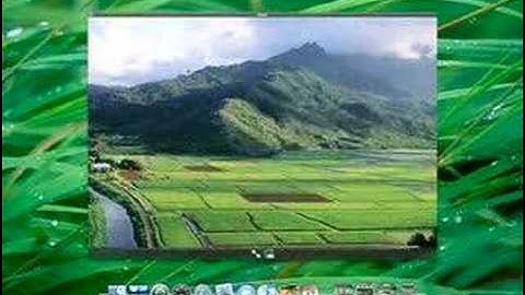 Quick Look - Leopard new WWDC 2007