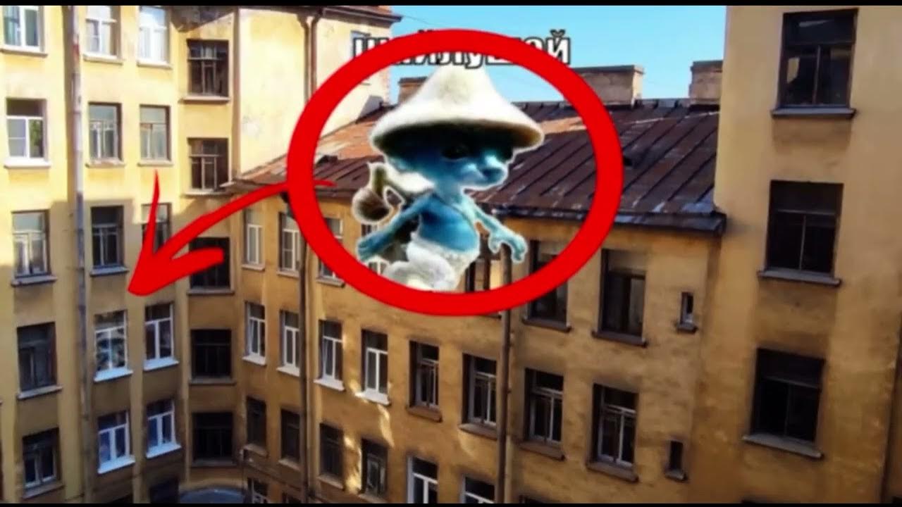 фото шайлуши