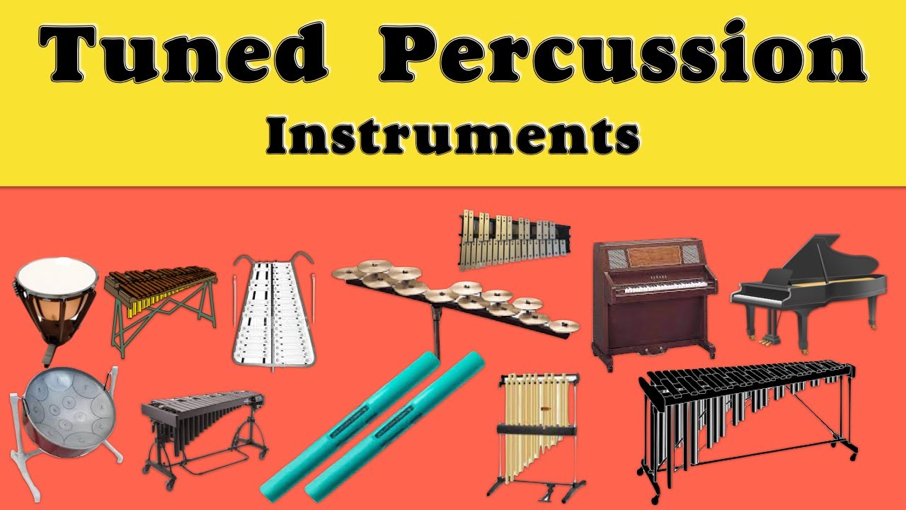 Percussion Instruments  Definition, Function & Examples - Video
