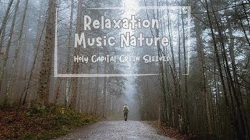 Relaxating Music Nature blend with Music game so peaceful   #gemukyoku #instrumental #relaxing