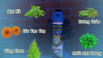 Nỗi Khiếp Sợ Của Mọi Loại Chuột Phá Hoại - Xịt Đuổi Chuột Nhập Khẩu Chính Hãng Thái Lan