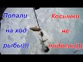 Клёвая рыбалка на косынки и удочку в последний день зимы!) Клёв как с пулемёта! Это клёво!