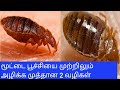 moota poochi  marunthu in Tamil/How to kill bedbugs in tamil/moota poochi marunthu at home  #bedbugs